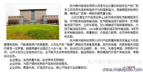 杭州傲州链传动 20B板式链条厂家直销，矿山机械传动优选